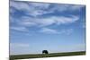 Bison, Badlands National Park, South Dakota-Paul Souders-Mounted Photographic Print