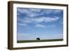 Bison, Badlands National Park, South Dakota-Paul Souders-Framed Photographic Print