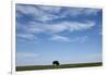 Bison, Badlands National Park, South Dakota-Paul Souders-Framed Photographic Print