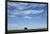 Bison, Badlands National Park, South Dakota-Paul Souders-Framed Photographic Print