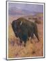 Bison Bison American Bison or Buffalo-Cuthbert Swan-Mounted Art Print