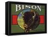 Bison Brand - Upland, California - Citrus Crate Label-Lantern Press-Framed Stretched Canvas