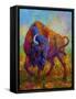 Bison Bull 1-Marion Rose-Framed Stretched Canvas