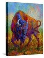 Bison Bull 1-Marion Rose-Stretched Canvas