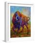 Bison Bull 1-Marion Rose-Framed Giclee Print