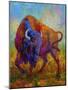 Bison Bull 1-Marion Rose-Mounted Giclee Print