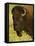 Bison Bull at the National Bison Range, Montana, USA-Chuck Haney-Framed Stretched Canvas