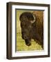 Bison Bull at the National Bison Range, Montana, USA-Chuck Haney-Framed Photographic Print