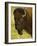 Bison Bull at the National Bison Range, Montana, USA-Chuck Haney-Framed Photographic Print