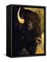 Bison Bull Portrait-Chuck Haney-Framed Stretched Canvas