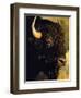 Bison Bull Portrait-Chuck Haney-Framed Photographic Print