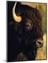 Bison Bull Portrait-Chuck Haney-Mounted Photographic Print