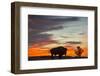 Bison Bull Silhouette, Theodore Roosevelt NP, North Dakota, USA-Chuck Haney-Framed Premium Photographic Print