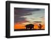Bison Bull Silhouette, Theodore Roosevelt NP, North Dakota, USA-Chuck Haney-Framed Premium Photographic Print