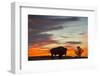 Bison Bull Silhouette, Theodore Roosevelt NP, North Dakota, USA-Chuck Haney-Framed Premium Photographic Print