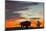 Bison Bull Silhouette, Theodore Roosevelt NP, North Dakota, USA-Chuck Haney-Mounted Photographic Print