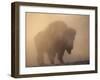 Bison, Bull Silhouetted in Dawn Mist, Yellowstone National Park, USA-Pete Cairns-Framed Photographic Print