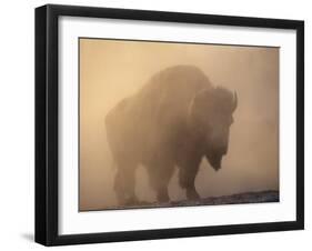 Bison, Bull Silhouetted in Dawn Mist, Yellowstone National Park, USA-Pete Cairns-Framed Photographic Print