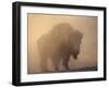 Bison, Bull Silhouetted in Dawn Mist, Yellowstone National Park, USA-Pete Cairns-Framed Photographic Print