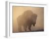 Bison, Bull Silhouetted in Dawn Mist, Yellowstone National Park, USA-Pete Cairns-Framed Photographic Print