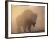 Bison, Bull Silhouetted in Dawn Mist, Yellowstone National Park, USA-Pete Cairns-Framed Photographic Print