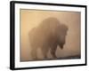 Bison, Bull Silhouetted in Dawn Mist, Yellowstone National Park, USA-Pete Cairns-Framed Photographic Print