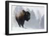 Bison Bull, Winter Storm-Ken Archer-Framed Photographic Print