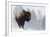 Bison Bull, Winter Storm-Ken Archer-Framed Photographic Print