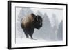 Bison Bull, Winter Storm-Ken Archer-Framed Photographic Print