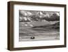 Bison bulls grazing at the National Bison Range in Moiese, Montana, USA-Chuck Haney-Framed Photographic Print