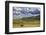 Bison bulls grazing at the National Bison Range in Moiese, Montana, USA-Chuck Haney-Framed Photographic Print