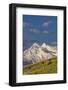 Bison bulls grazing in balsamroot, Mission Mountains, National Bison Range in Moiese, Montana, USA-Chuck Haney-Framed Photographic Print