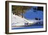 Bison Bulls, Winter Landscape-Ken Archer-Framed Photographic Print