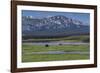 Bison by River-Galloimages Online-Framed Photographic Print