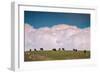 Bison Cloudscape, Yellowstone National Park, Wyoming-null-Framed Photographic Print