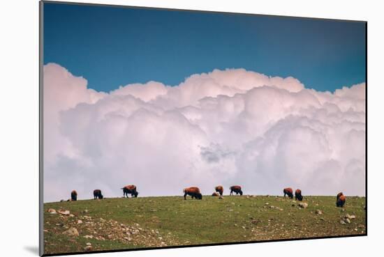 Bison Cloudscape, Yellowstone National Park, Wyoming-null-Mounted Photographic Print