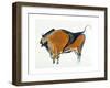 Bison, Copy of a Palaeolithic Cave Painting at Altamira, Northern Spain, 1913-null-Framed Giclee Print