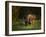 Bison Cow and Calf-Galloimages Online-Framed Photographic Print