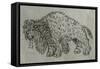 Bison, Drawing, 16th Century-null-Framed Stretched Canvas