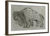 Bison, Drawing, 16th Century-null-Framed Giclee Print