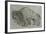 Bison, Drawing, 16th Century-null-Framed Giclee Print