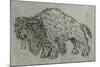 Bison, Drawing, 16th Century-null-Mounted Giclee Print