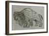 Bison, Drawing, 16th Century-null-Framed Giclee Print