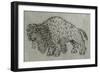 Bison, Drawing, 16th Century-null-Framed Giclee Print