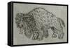 Bison, Drawing, 16th Century-null-Framed Stretched Canvas