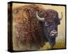 Bison Facing Right-Chris Vest-Stretched Canvas