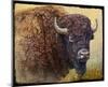 Bison Facing Right-Chris Vest-Mounted Art Print