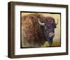 Bison Facing Right-Chris Vest-Framed Art Print