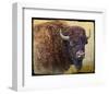 Bison Facing Right-Chris Vest-Framed Art Print