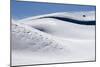 Bison Feed Along The Hillsides Of The Hayden Valley In Winter In Yellowstone-Jay Goodrich-Mounted Photographic Print